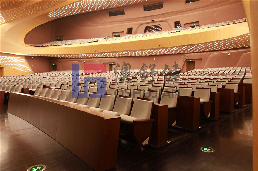 2014 Nanjing Youth Olympic Conference Center(图2)