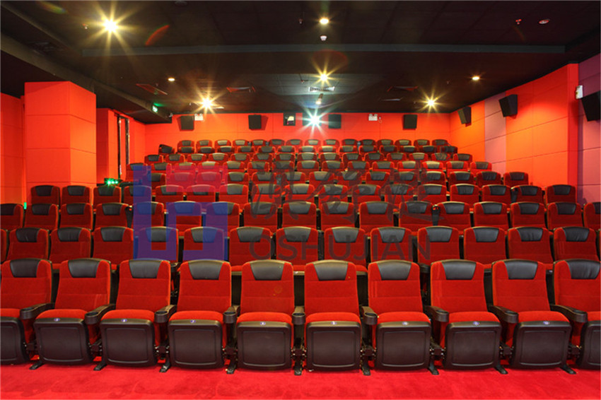 In Seattle City Cinema(图7)