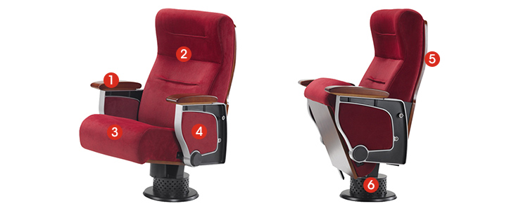 Auditorium Seating